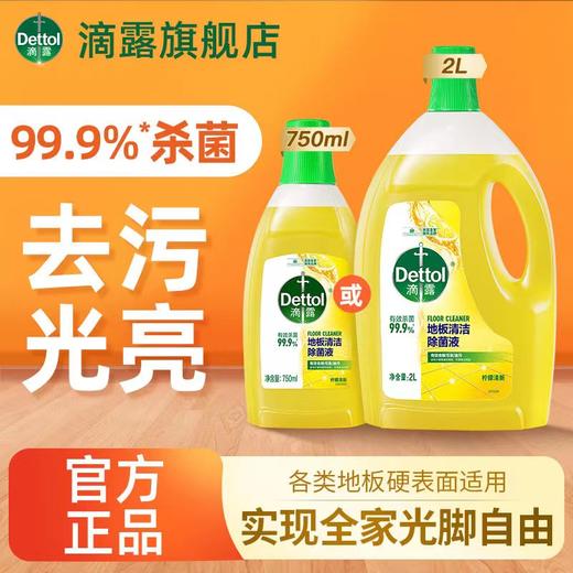 滴露地板清洁剂 商品图0