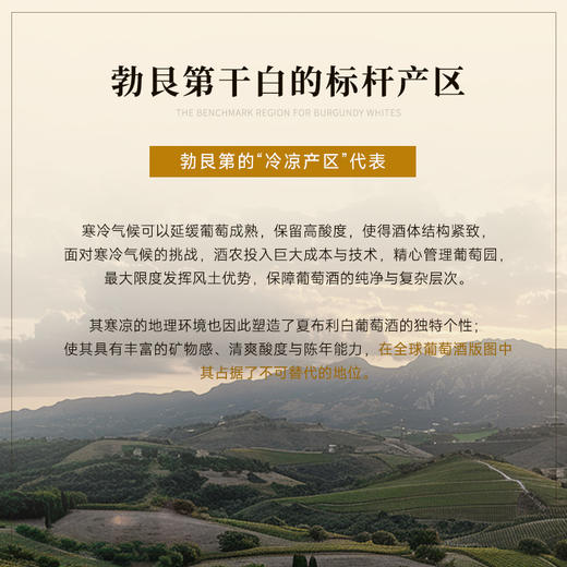 【夏布利一级园】查维勃艮第一级园干白 荣获四大金奖 12月橡木桶陈酿 百年藤木酿造 法国进口 13.5%vol 商品图3