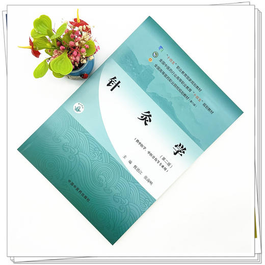 针灸学（第二版）甄德江 张海峡 主编 中国中医药出版社 全国中医药行业高等职业教育十四五规划教材 商品图1