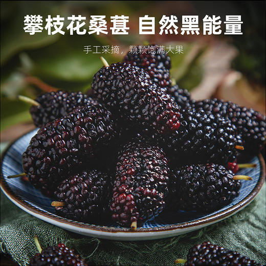 【冬季滋补】杞里香 桑葚茯苓玫瑰茶42g盒*2盒 商品图3