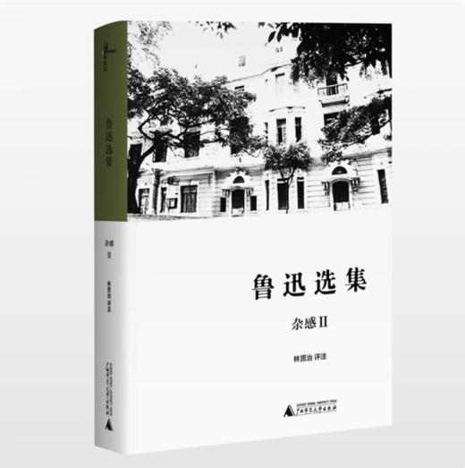 【独秀书香卡】新民说   鲁迅选集   杂感Ⅰ 林贤治/注 商品图0