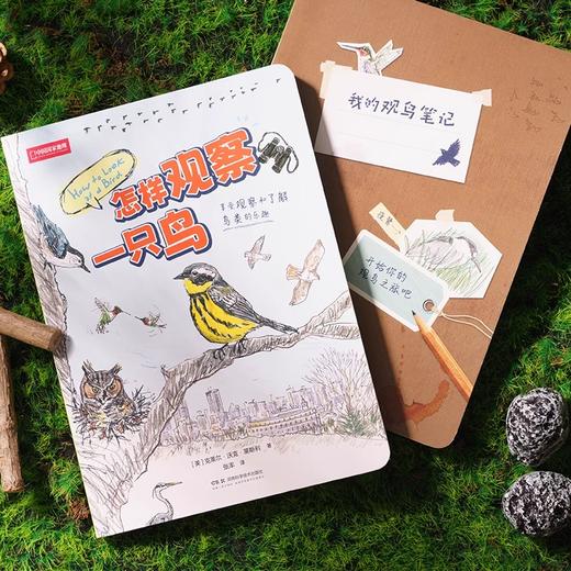 怎样观察一只鸟 克莱尔·沃克·莱斯利新作鸟类观察科普读物 商品图2