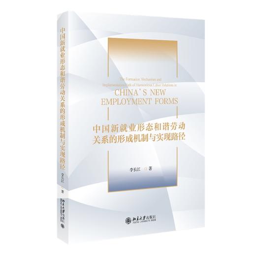 中国新就业形态和谐劳动关系的形成机制与实现路径 李长江 著 北京大学出版社 商品图0