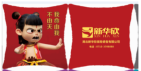 2025年6月9日出单奖励业务伙伴抱枕1个