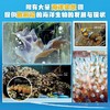 爆笑海洋动物百科给孩子的海洋科普书,一部超酷的“海底总动员 商品缩略图5
