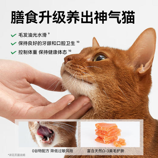 测评推荐-帕特 生命系列猫粮 低敏兔肉鹿肉牛肉全期全价猫粮营养发腮无谷猫粮 商品图5