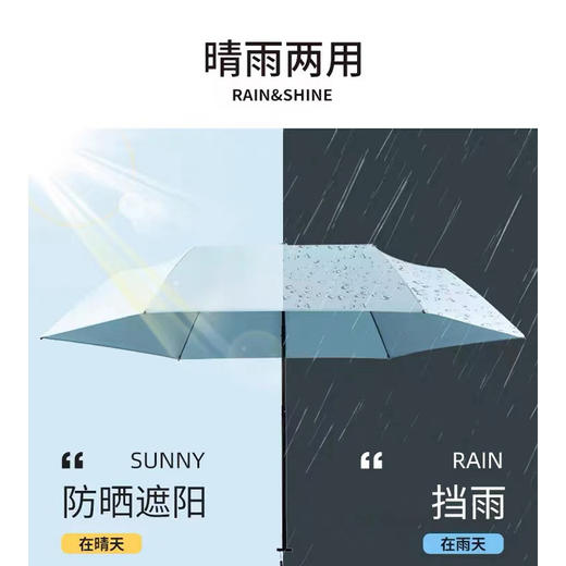 大英博物馆 & 荷兰XDDESIGN 联名伞 女款卷心伞/男款快干伞 商品图9