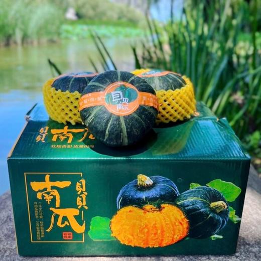 【京东快递】惠和一号贝贝南瓜 果蔬界小网红 果蔬代餐 个头小巧 粉糯香甜 宝宝辅食 减肥代餐ANXNY 商品图4