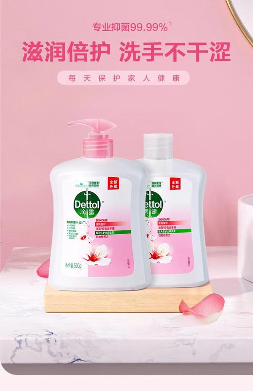 滴露抑菌洗手液 商品图2