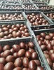 烤鸭蛋9.9元10个 商品缩略图0