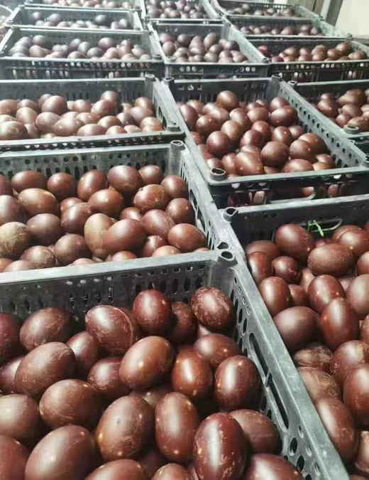 烤鸭蛋9.9元10个 商品图0