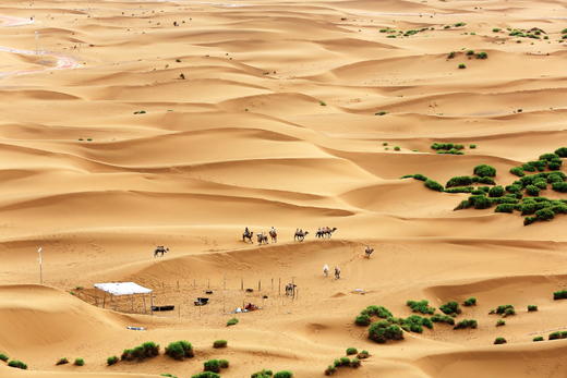 （越野车）新疆10天|罗布泊大海道无人区航拍 + 哈密胡杨林+库木塔格沙漠摄影探险游 商品图7