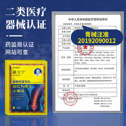 百年扁氏藏关宁腰椎贴 商品图3