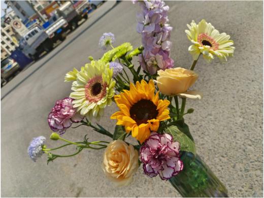 家居花一份 商品图2