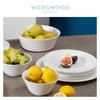 WEDGWOOD威基伍德intaglio意大利浮雕骨瓷中餐套装乔迁礼物威基伍德意大利浮雕四人餐具21件套 商品缩略图3