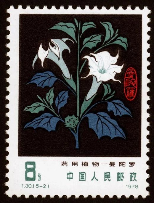 T30《药用植物》1978年 商品图2