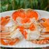 湛江膏蟹鲜活大青蟹满满红膏鲜捕直达 商品缩略图5