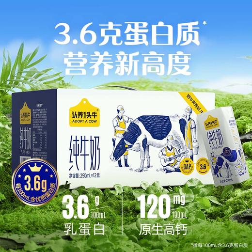 认养一头牛3.6g蛋白纯奶250ml利乐砖12入一提装 商品图0