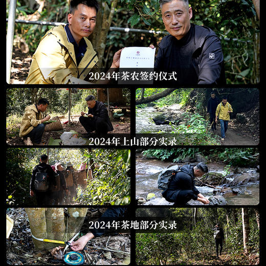 【2025年春茶】【铜箐河】2025年乙巳蛇年生肖纪念饼重磅来袭！生肖茶饼界的无敌断货王，店铺必囤产品，选它准没错！357克/饼 商品图7