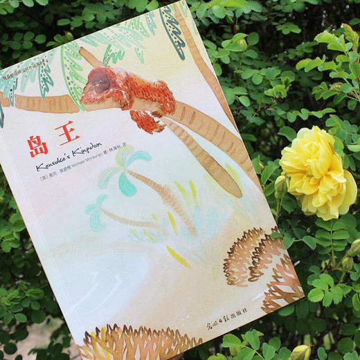 岛王：一段传奇的友谊！冒险小说 。梅子涵、语文报小学版主编、北京四中语文高级教师倾情推荐。 商品图3