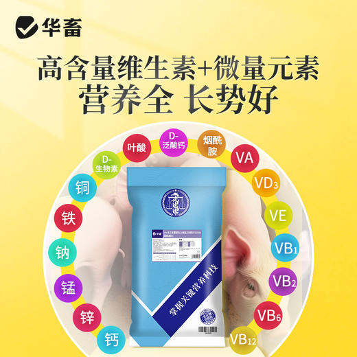 华畜4%生长育肥猪预混料猪肽能长仔猪饲料小猪生长猪催肥育肥饲料 商品图3