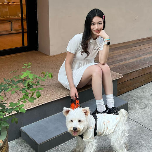 Herlian2025年春夏新品复古POLO领修身短袖连衣裙 商品图2