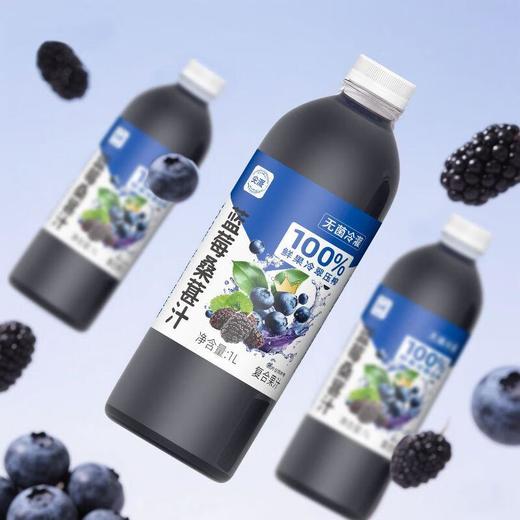尖派蓝莓桑葚汁 1L 商品图2