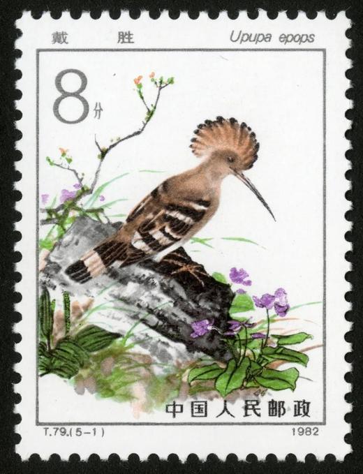 T79《益鸟》1982年 商品图1