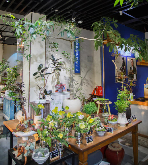 造型发财树（大） 商品图0