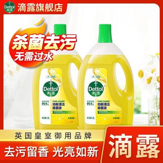 滴露地板清洁剂 商品图1