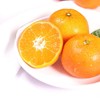 糖果柑 约300g/份 (单果重106-128g/果径65-70cm) 商品缩略图0