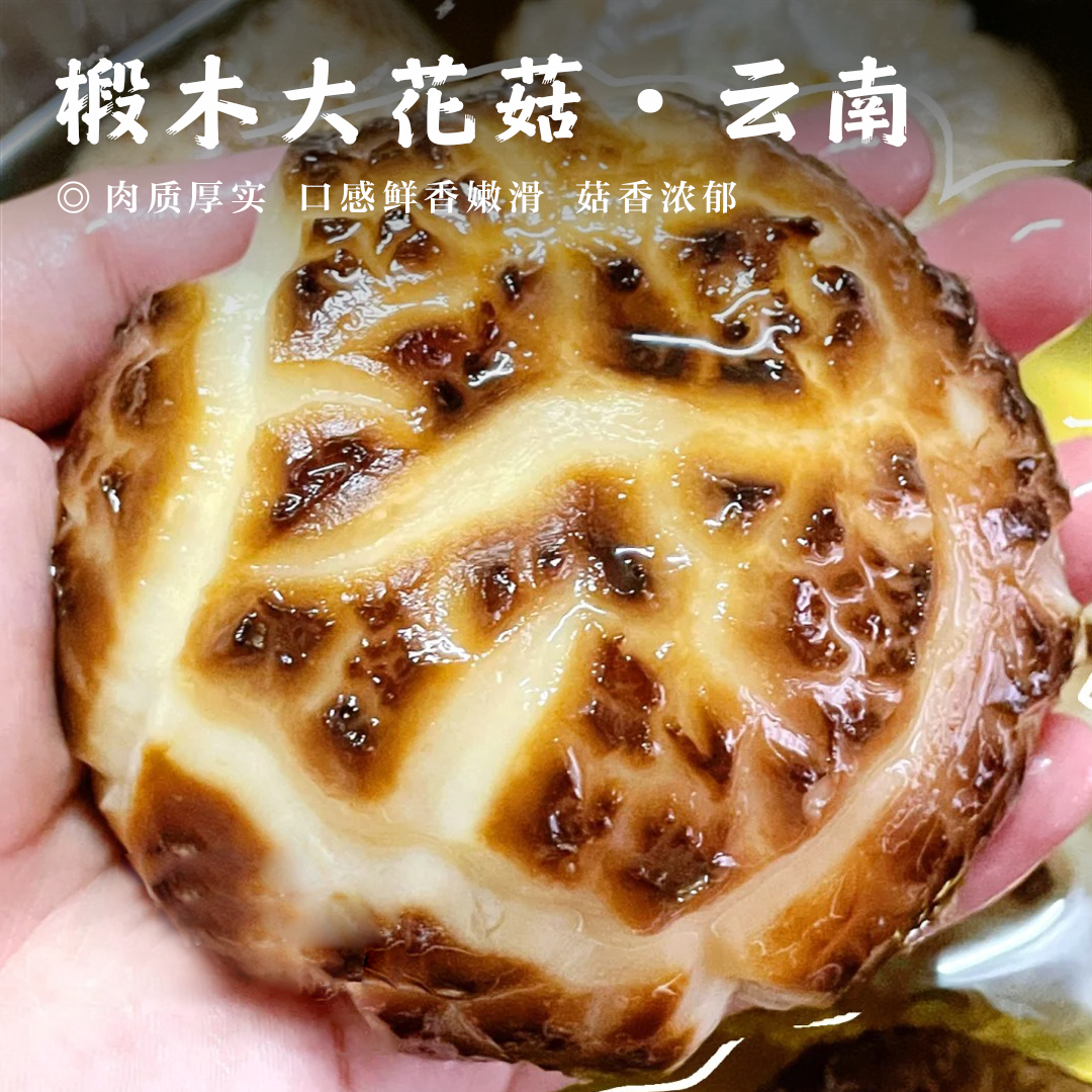 【椴木大花菇•云南农家】（直径6-8cm） 300g/袋 肉质厚实 口感鲜香嫩滑 菇香浓郁
