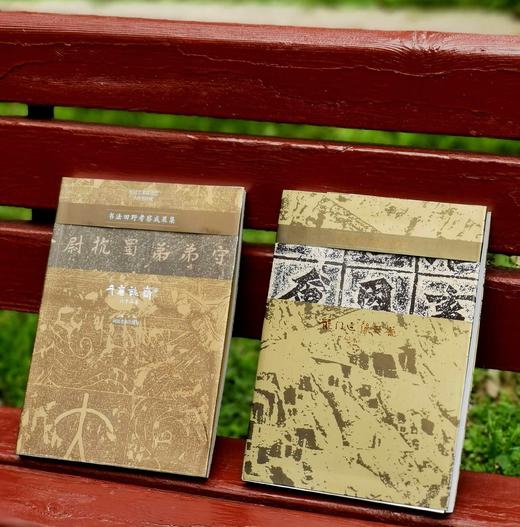 绝版！！书法田野考察成果集两种：《千唐志斋六十品卷》+《龙门造像题记》，16开，铜版纸印刷，王镛主编，河北美术出版社2008年一版一印，276元，售价78元。品95成。 商品图1