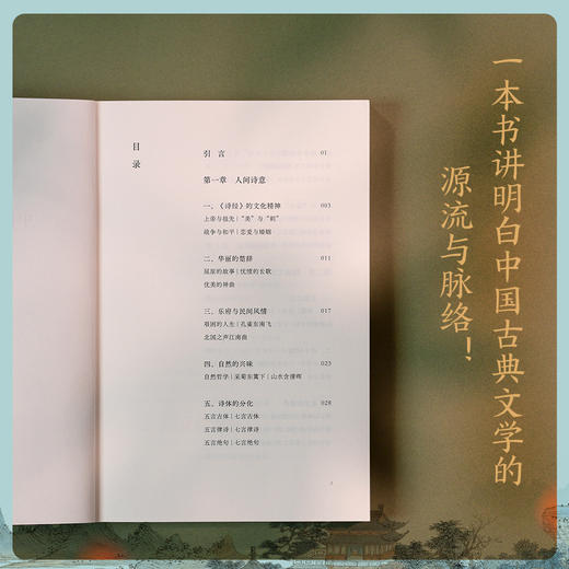 [限量印签+书签]中国古典文学讲义    古典文学源流与脉络！果麦 商品图2