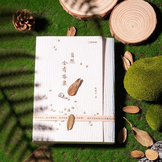 自然会有答案 灵儿姐姐林语尘传统文化中式美学手绘博物散文随笔 商品图2