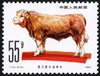 T63《畜牧业——牛》1981年 商品缩略图6
