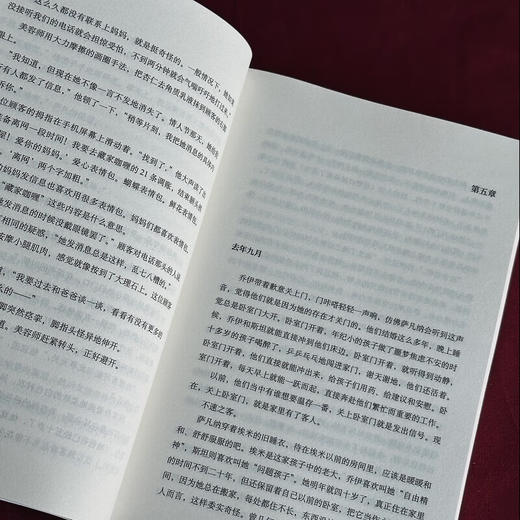 苹果不会落下 （澳）莉安·莫里亚蒂 著 澳洲畅销书天后 婚姻日常家庭关系 悬疑小说 商品图4