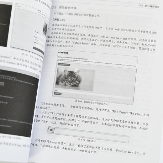 Web*测试技术详解 网络技术渗透测试软件测试计算机网络书籍 商品图2