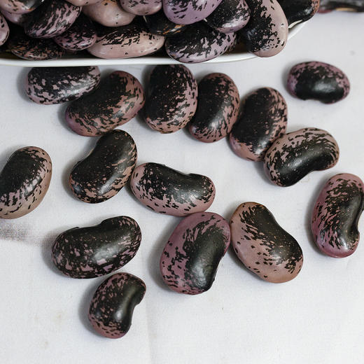 【食品】大黑花芸豆新货大肾豆牛眼豆500g/袋 商品图5