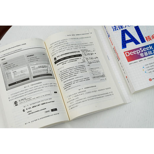 法律人必备AI核心技能 : DeepSeek零基础入门到精通 陈焕 戴奎 李勇编著 法律出版社 商品图7