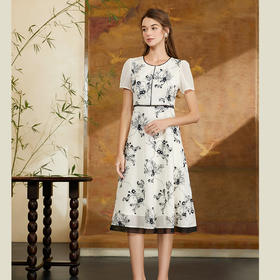 司歌网纱刺绣v领短袖连衣裙A911007X