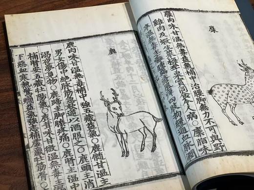 彩印明内府本《饮膳正要》 商品图3