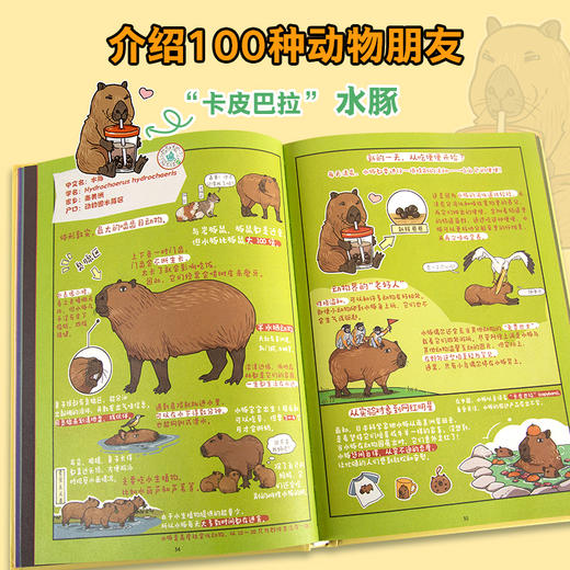 【青葫芦】走！动物博士带你去逛动物园 商品图2