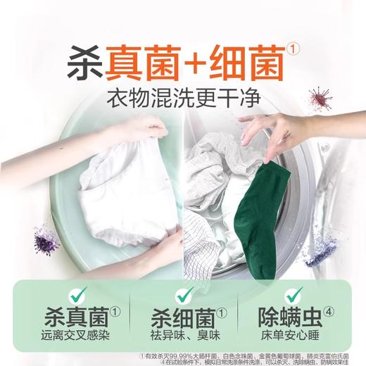 滴露Dettol衣物多效除菌剂2.5L 非洗衣液 除菌除螨99.99% 商品图3