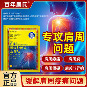 百年扁氏藏关宁肩周贴