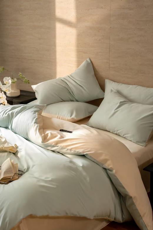 轻奢高级感天丝棉四件套（一口价，默认床单款） 商品图2