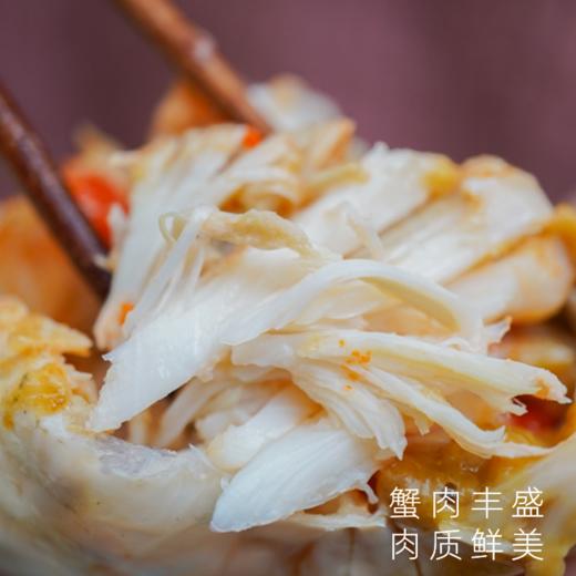 湛江膏蟹鲜活大青蟹满满红膏鲜捕直达 商品图4