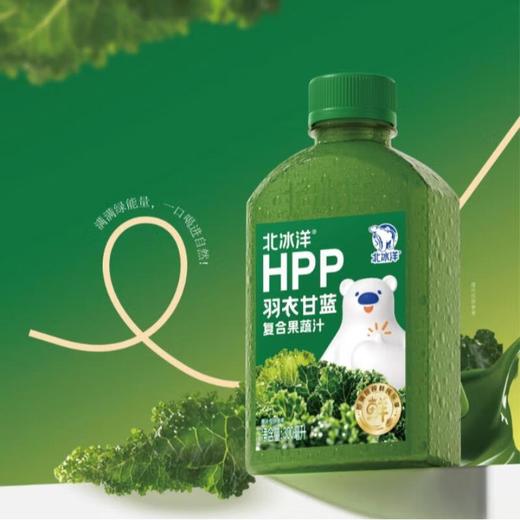 北冰洋HPP羽衣甘蓝300ml 商品图3