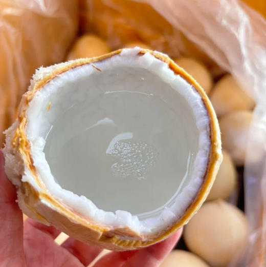 周五送万柳地区！奶香椰皇，汁多，超大果！一组6颗 商品图1