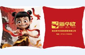 新华欣炫酷抱枕